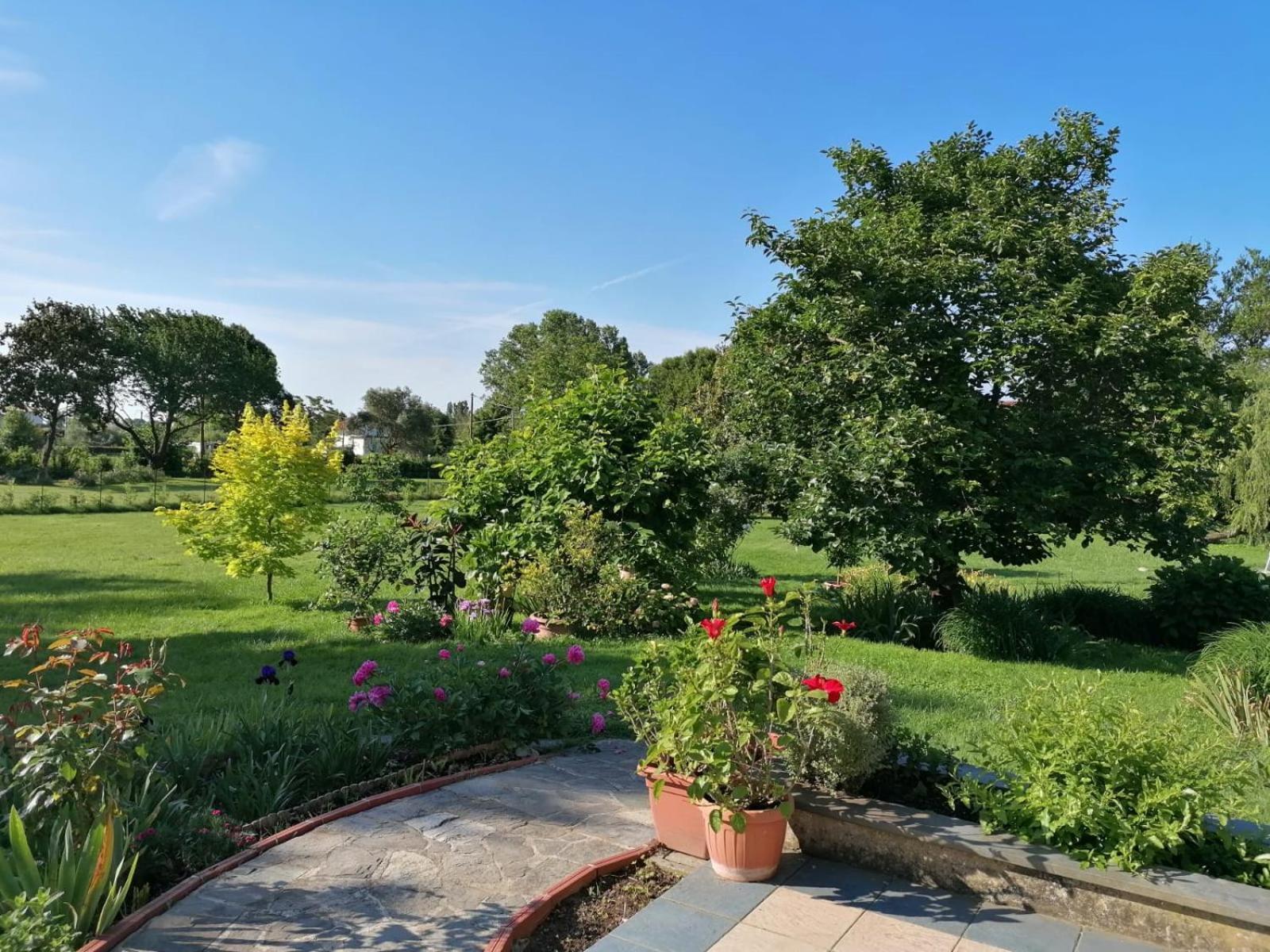 Versilia - Pietrasanta - Le Colmate Guesthouse Тонфано Екстер'єр фото