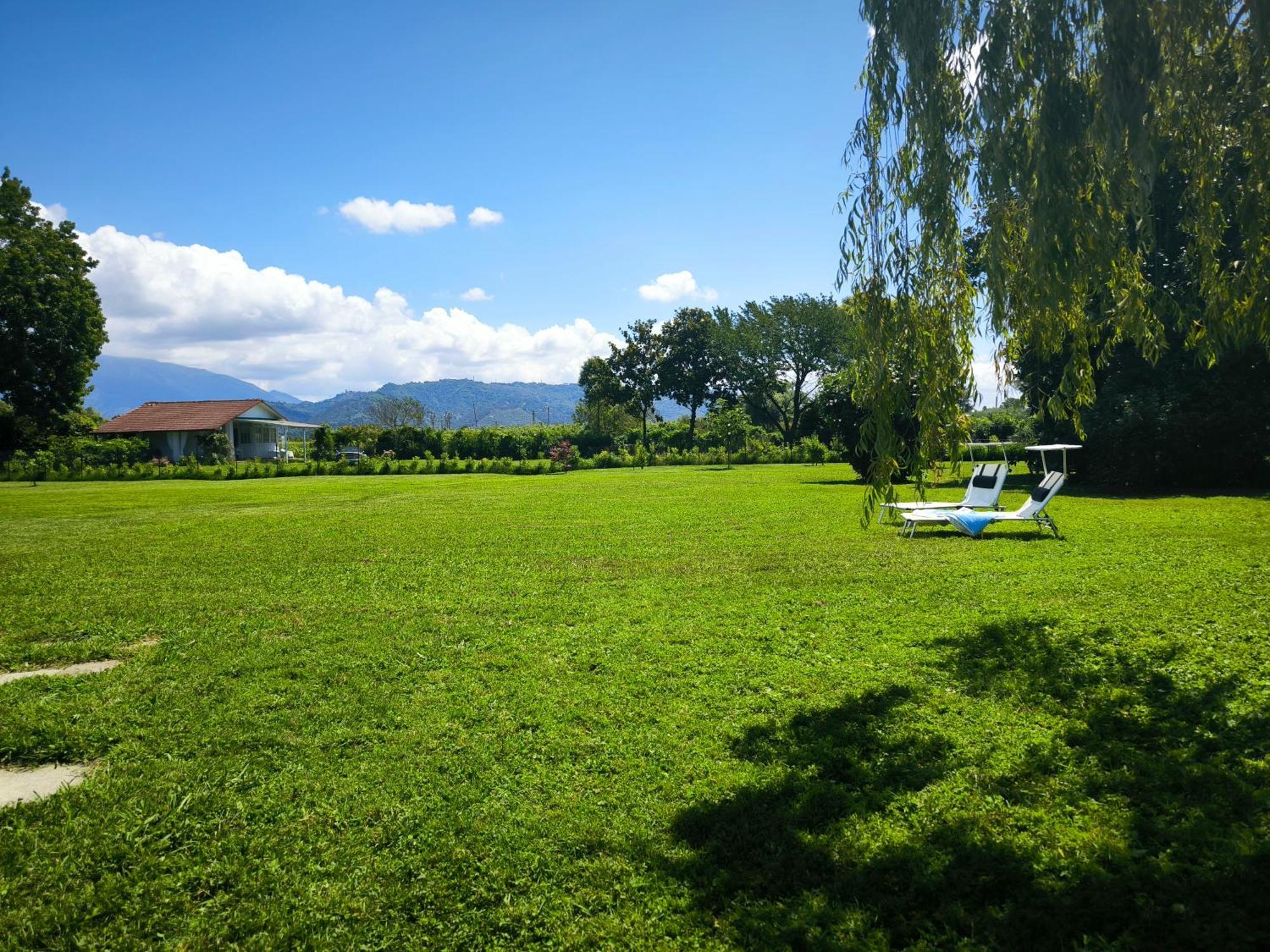 Versilia - Pietrasanta - Le Colmate Guesthouse Тонфано Екстер'єр фото