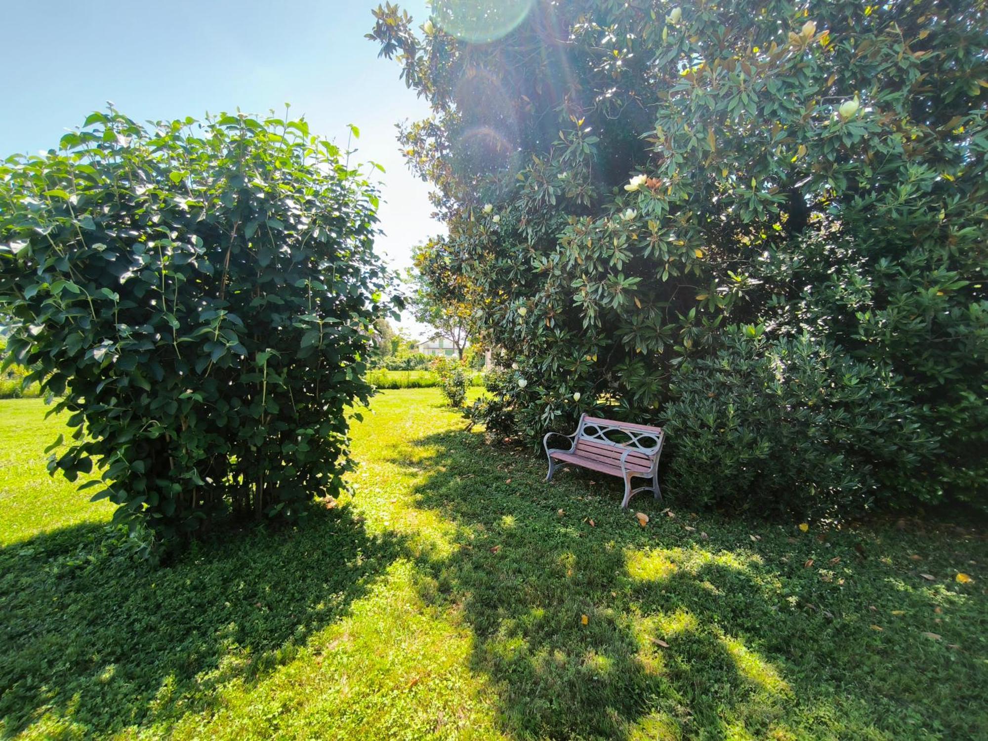 Versilia - Pietrasanta - Le Colmate Guesthouse Тонфано Екстер'єр фото