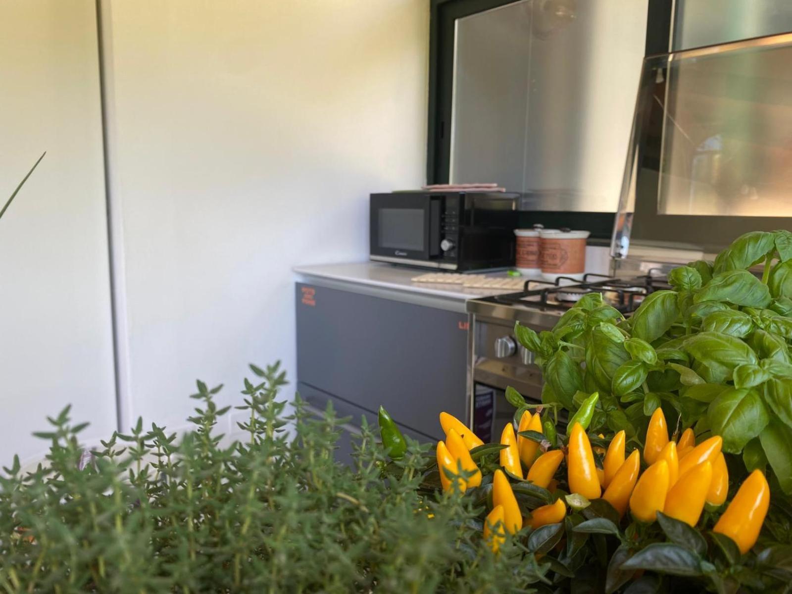 Versilia - Pietrasanta - Le Colmate Guesthouse Тонфано Екстер'єр фото